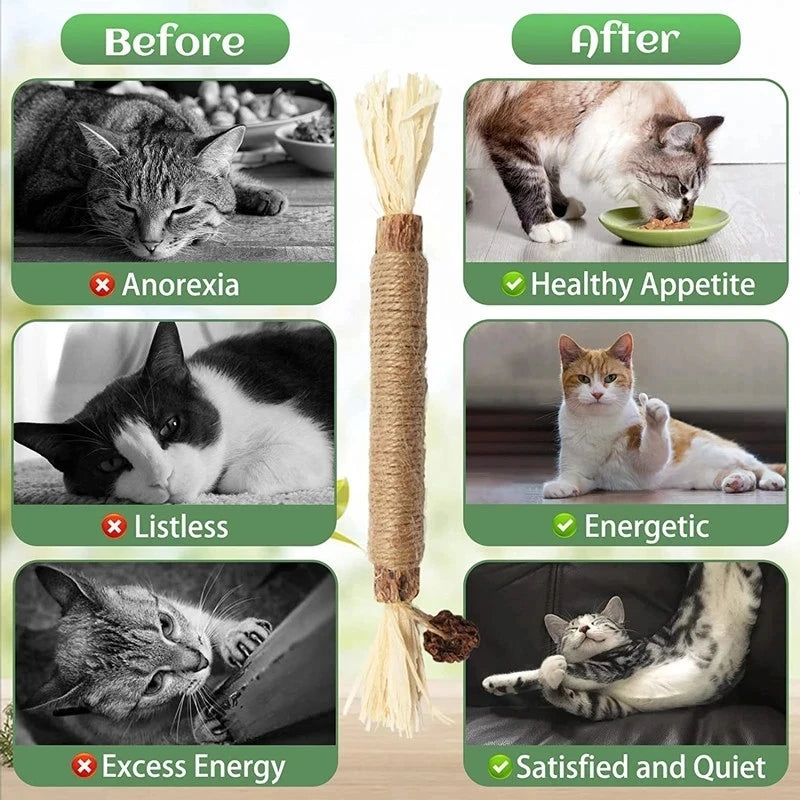 Natural Catnip Chew Stick Treat Cat Toy